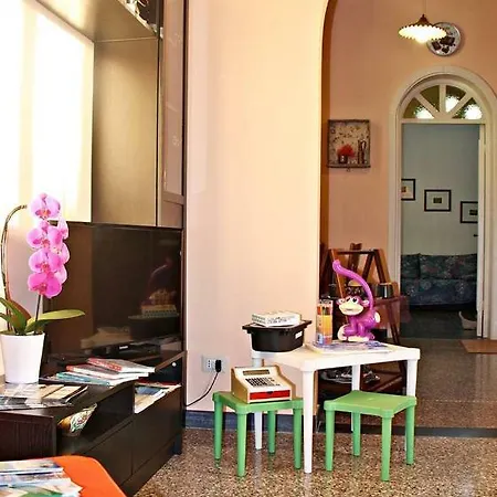 Orange Living 41 Chiavari