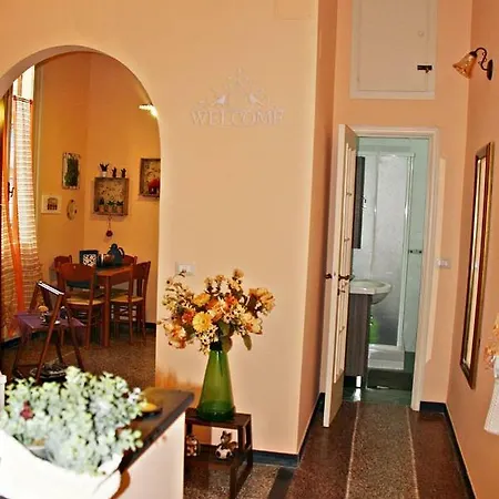 Orange Living 41 *